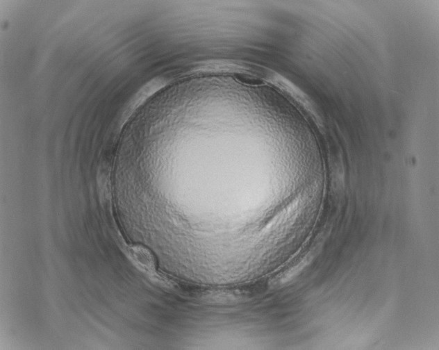 X0000072981049200608041238