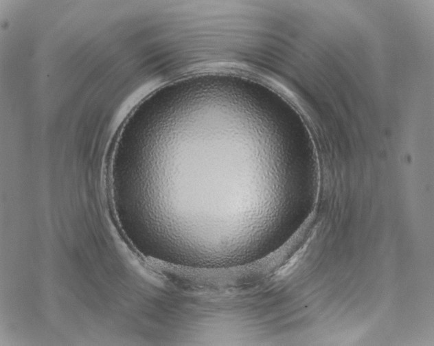 X0000072981050200608041238