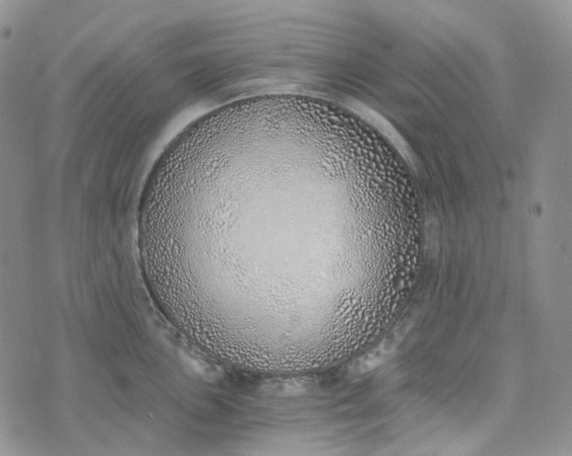 X0000072981051200608041238