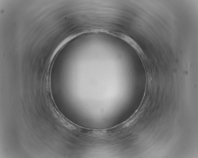 X0000072981052200608041238