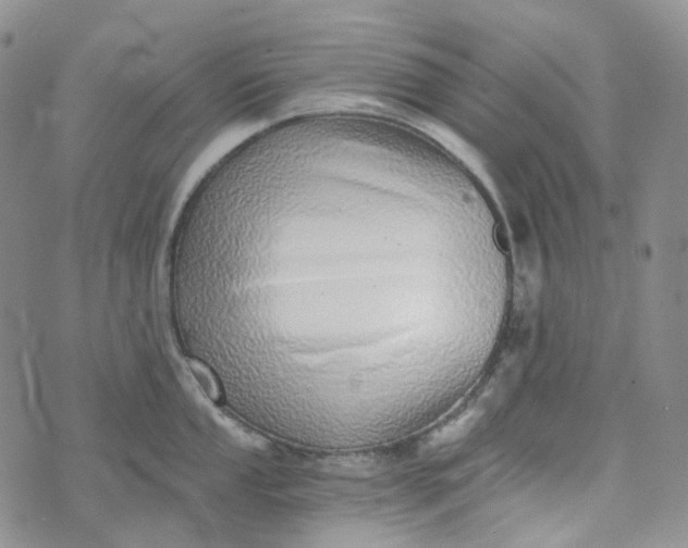 X0000072981053200608041238