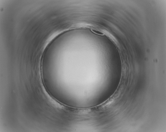 X0000072981055200608041238