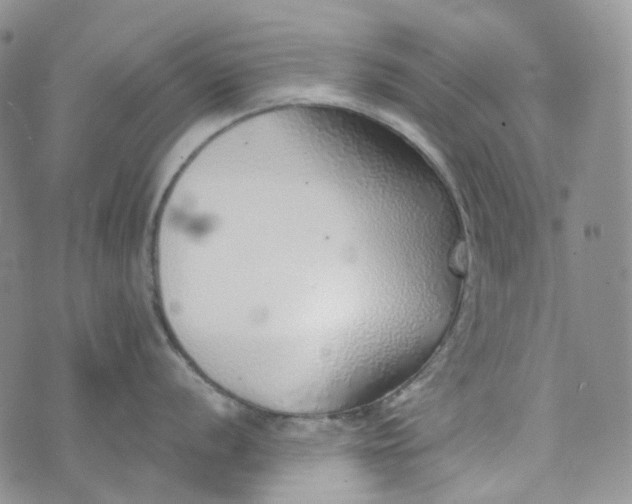 X0000072981056200608041238