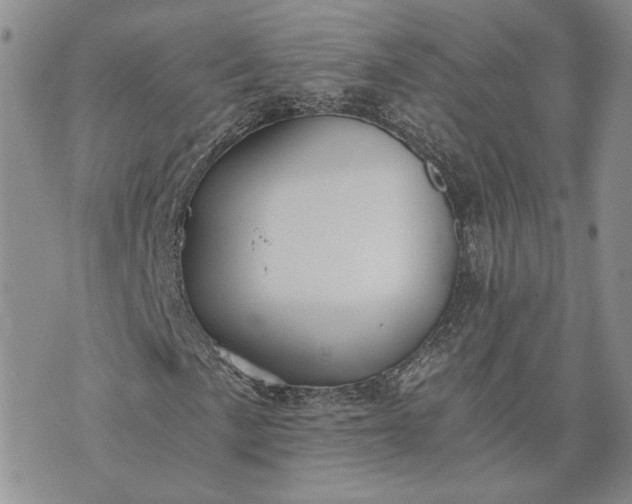 X0000072981057200608041237