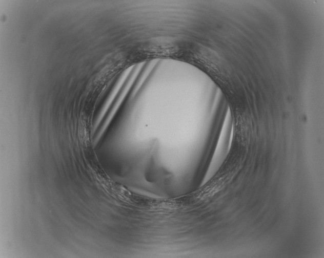 X0000072981058200608041237