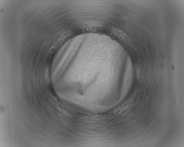 X0000072981060200608041237