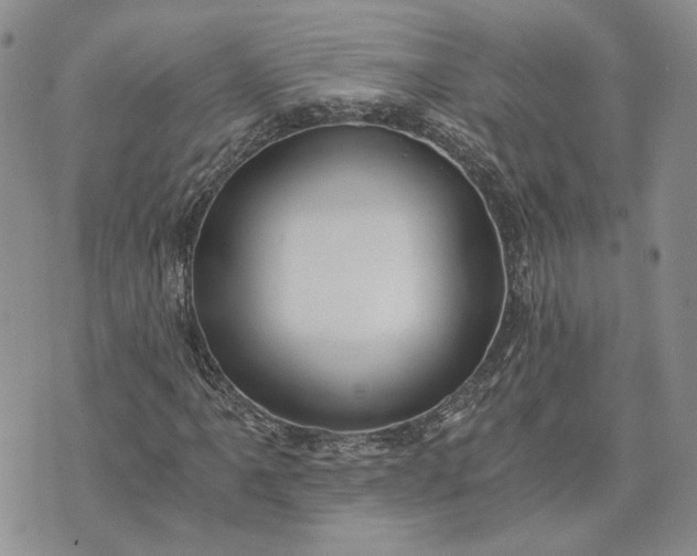 X0000072981061200608041237