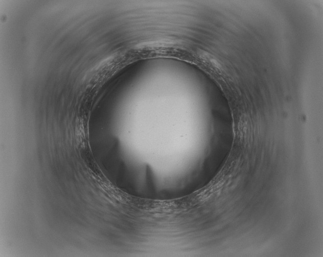 X0000072981062200608041237