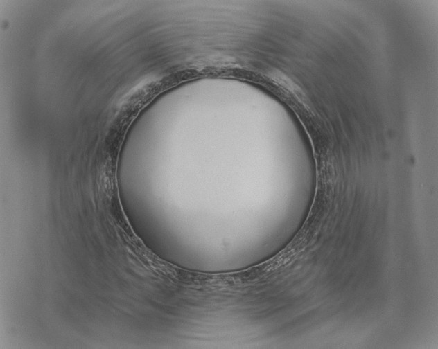 X0000072981063200608041237