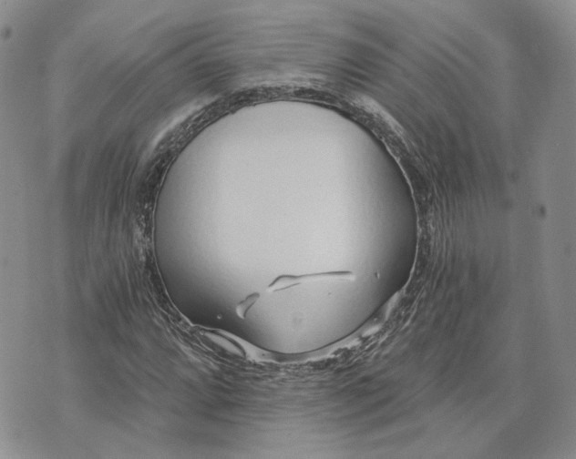 X0000072981064200608041237