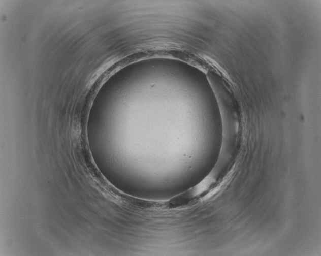 X0000072981065200608041237