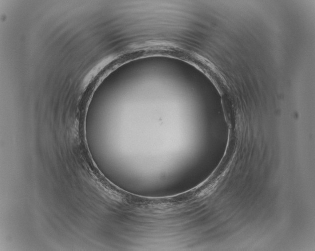 X0000072981066200608041237