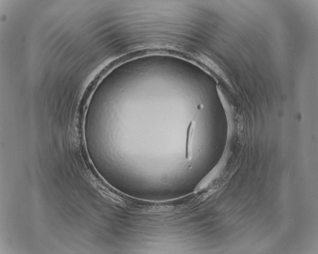 X0000072981068200608041237