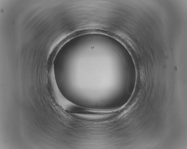 X0000072981069200608041237