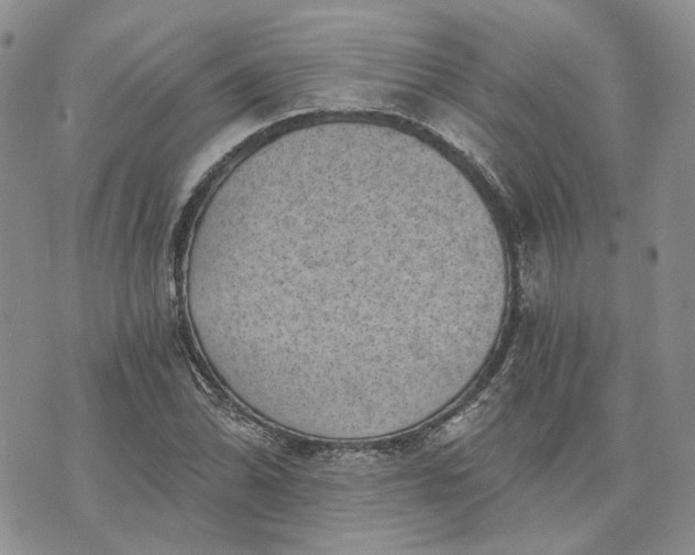 X0000072981070200608041237