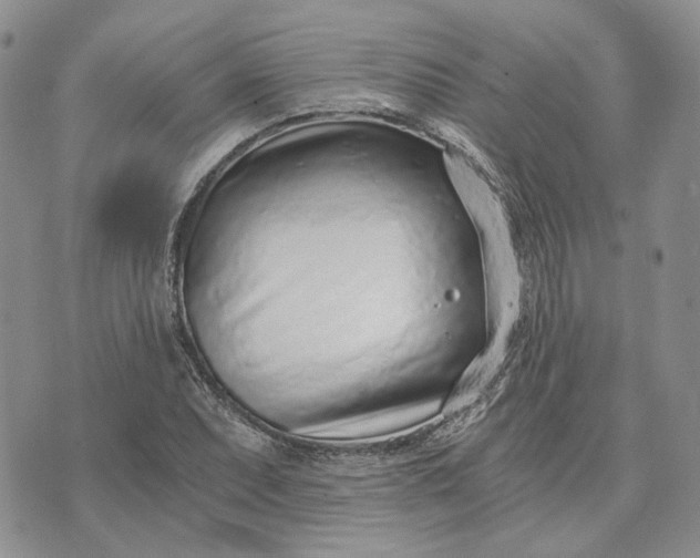 X0000072981071200608041237