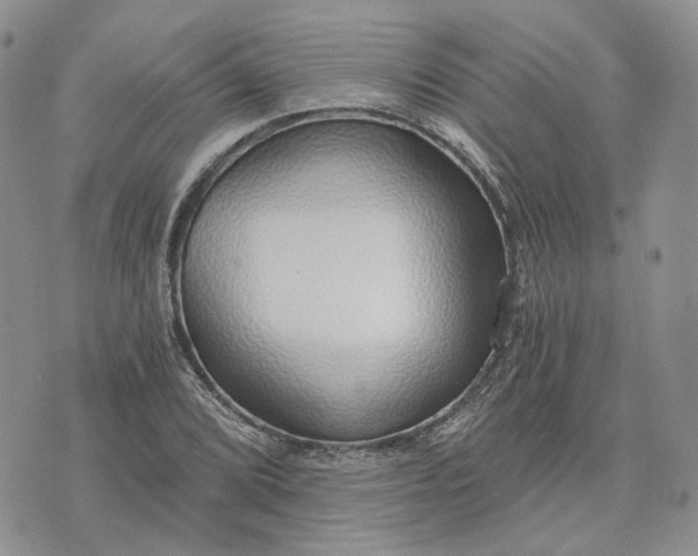 X0000072981072200608041237