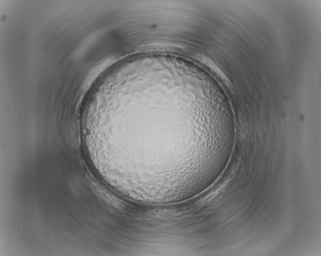 X0000072981075200608041237