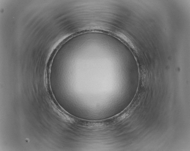 X0000072981076200608041237