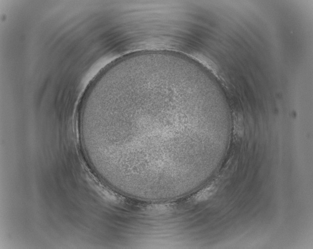 X0000072981078200608041237