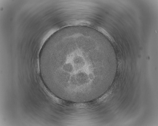 X0000072981079200608041237