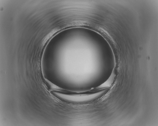 X0000072981081200608041237