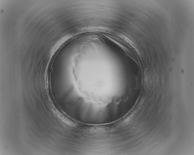 X0000072981082200608041237