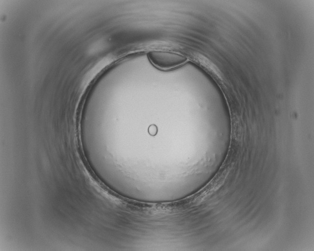 X0000072981087200608041237