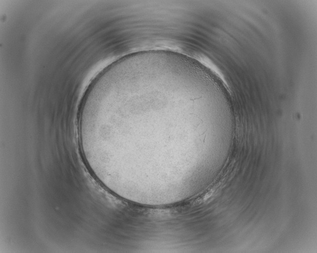 X0000072981088200608041237