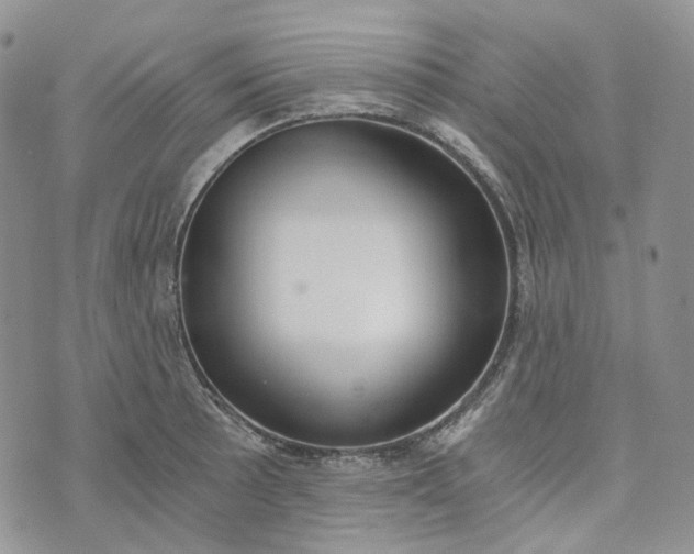 X0000072981089200608041237