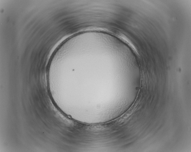 X0000072981092200608041237