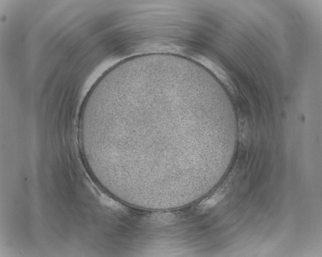 X0000072981094200608041237