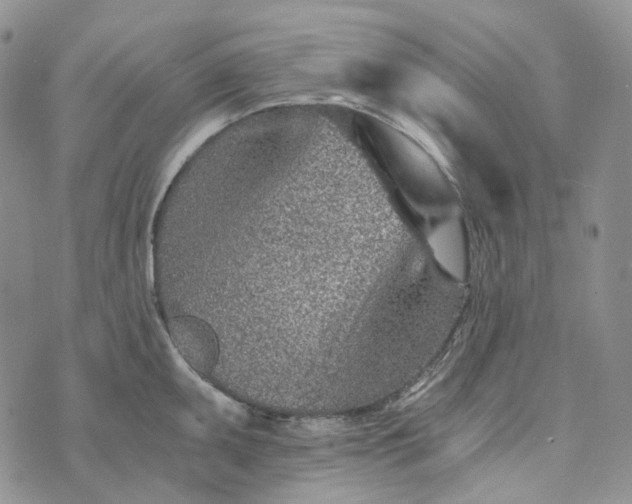 X0000072981095200608041237