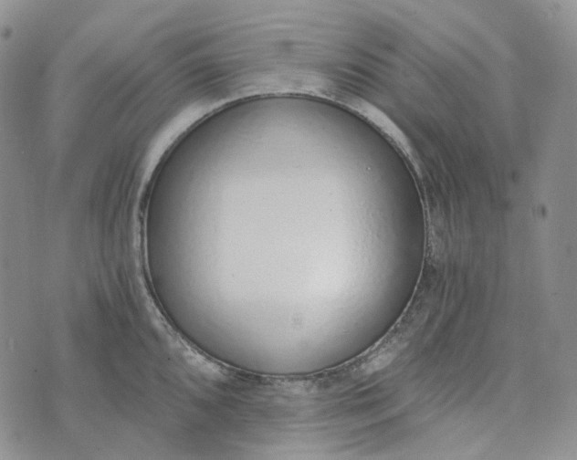 X0000072981096200608041237