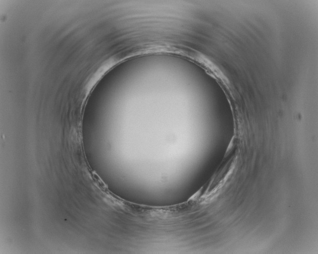 X0000072981097200608041237