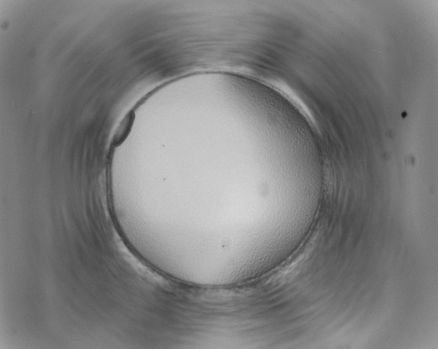 X0000072981100200608041237