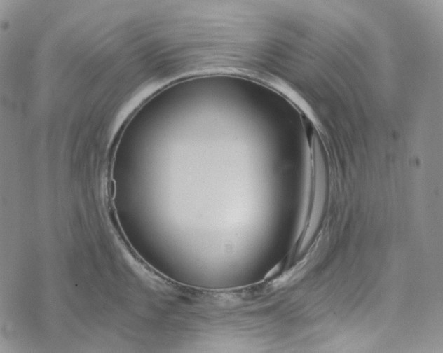 X0000072981101200608041237