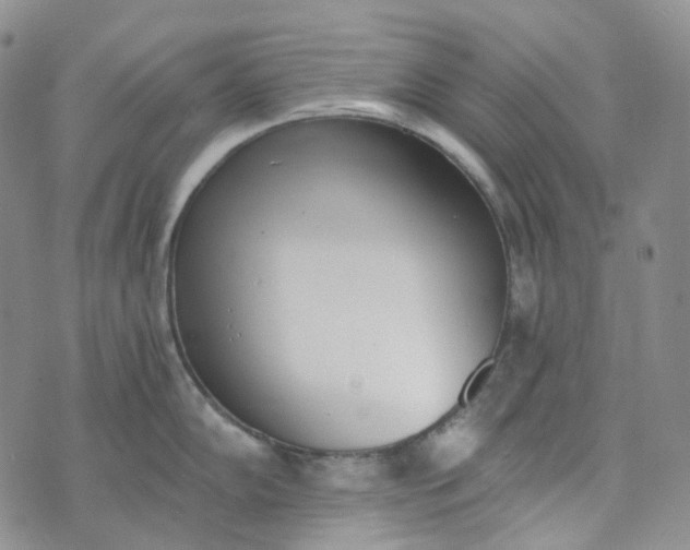 X0000072981102200608041237