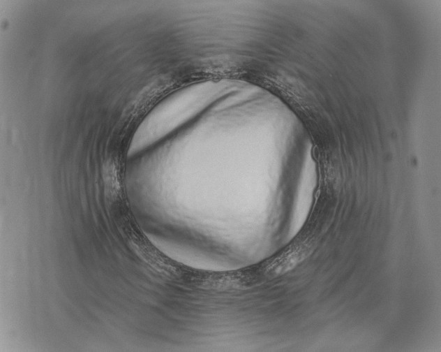 X0000072981106200608041236