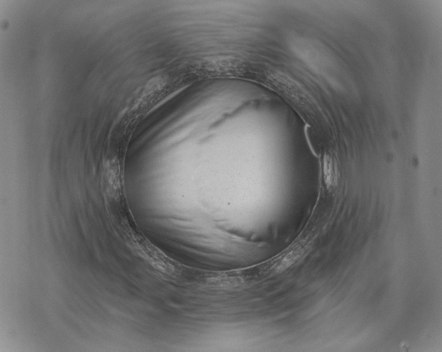 X0000072981107200608041236