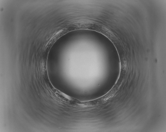 X0000072981108200608041236