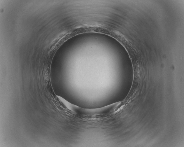 X0000072981110200608041236