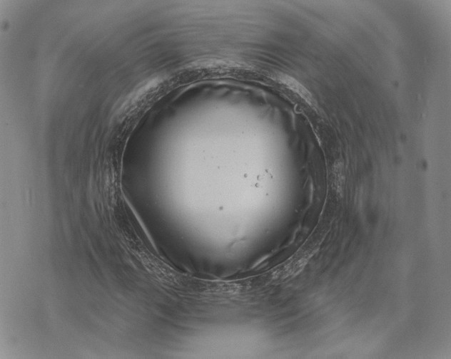 X0000072981111200608041236