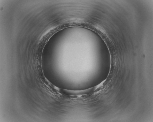 X0000072981112200608041236