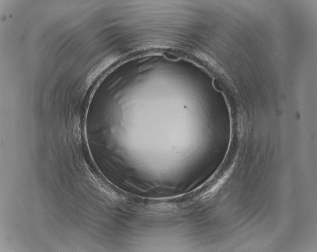 X0000072981113200608041236