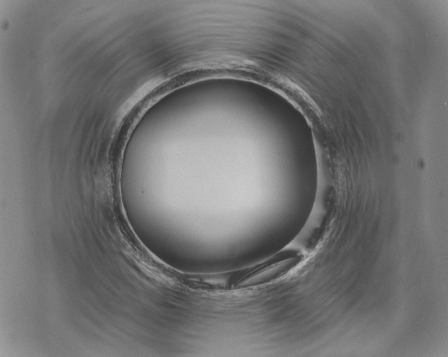 X0000072981114200608041236