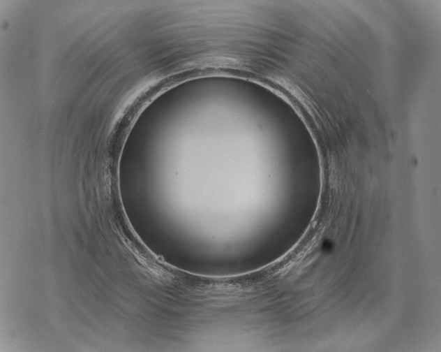 X0000072981115200608041236