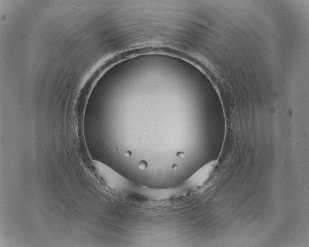 X0000072981118200608041236