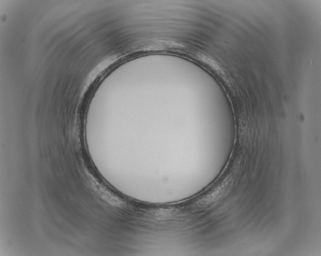 X0000072981122200608041236