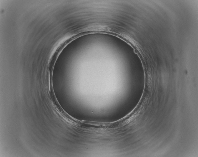 X0000072981123200608041236